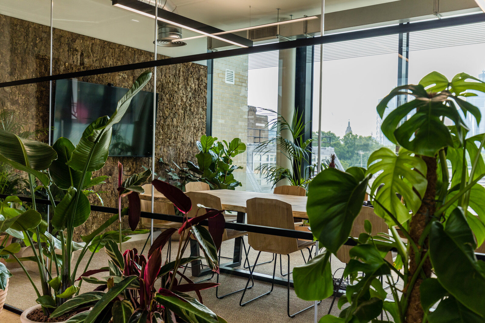 办公室装饰设计如何布局植物营造美好环境？