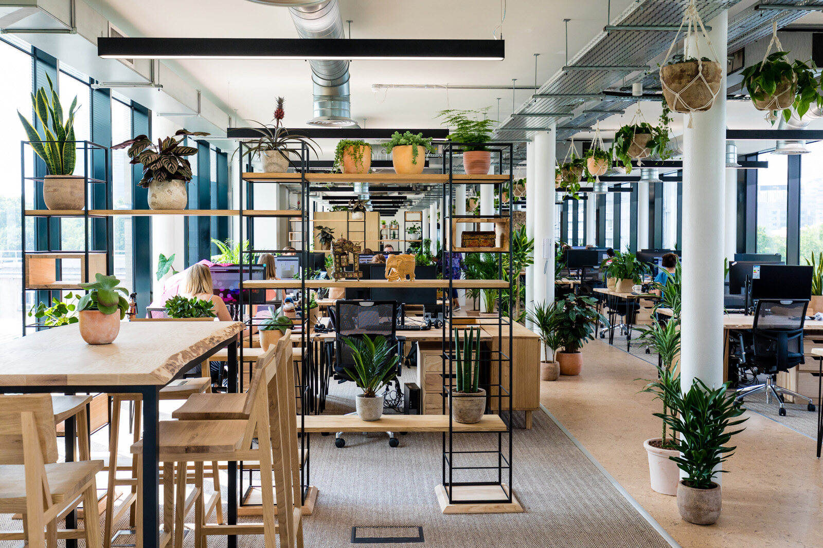 办公室装饰设计如何布局植物营造美好环境？