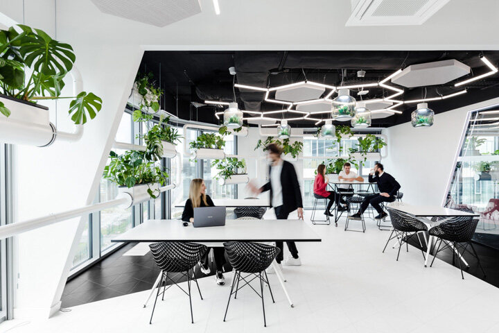 办公室装修完如何摆放植物让环境变得勃勃生机？