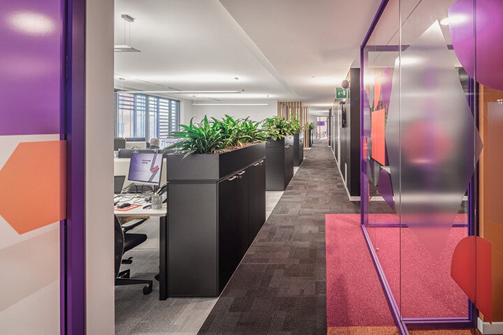 办公室装修设计每个区域摆放绿化的意义